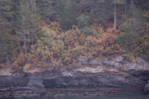 Flattop Island National Wildlife Refuge