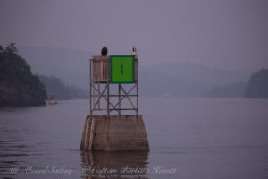 Bald eagle on Wasp Pass channel marker