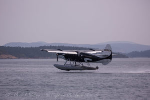 Orca sea plane takes off