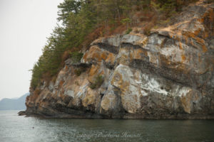 Flattop Island NWR