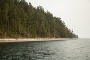 Lopez Island Shoreline