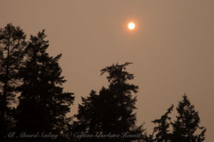 Sunset for forest fire haze