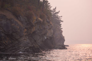 Flattop Island