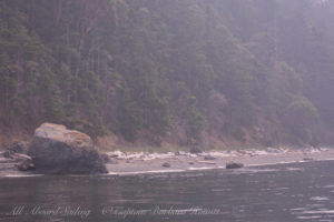 Big Rock glacial erratic on Lopez shoreline