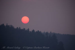 Sunset through forest fire haze