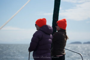 Whale watching sailing