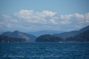 Sailing in the San Juan Islands