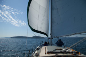 Downwind sailing wing on wing in the San Juan islands