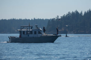 John Durdan and Holly Fearnbach launch drone for aerial photogrammetry of Southern Resident Orcas