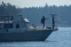 John Durdan and Holly Fearnbach launch drone for aerial photogrammetry of Southern Resident Orcas