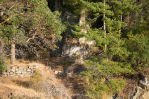 Old Lime Kiln in forest of Presidents Channel, Orcas Island