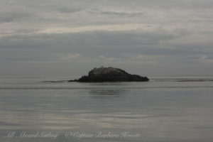 Whale Rocks, San Juan Island