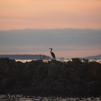 A half day sail around Stuart Island