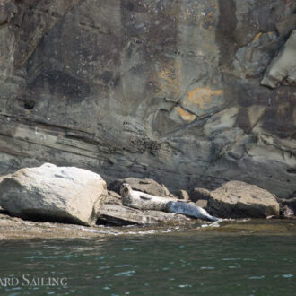 Sail to New Channel and Flattop Island