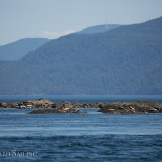 Great winds for sailing to explore New Channel