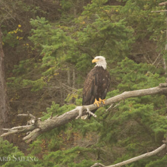 A sail around Orcas Island