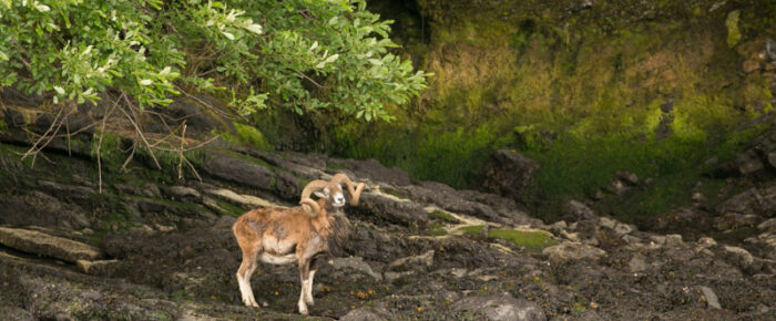 A scenic wildlife cruise despite rain on the horizon