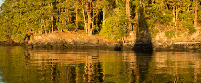 Sunset sail around Turn Island to Shaw Island