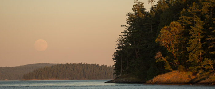 Sunset / full moon rise sail