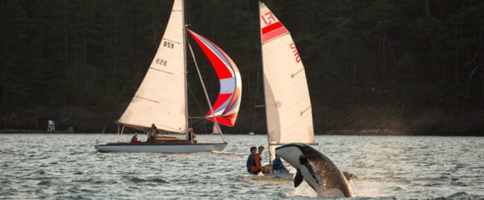 Orcas T37A’s in West Sound and a sunset sail