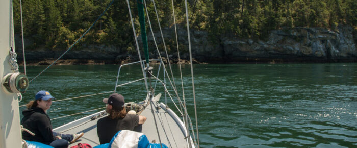 A special proposal sail