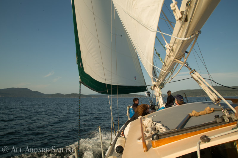 orca 37 sailboat