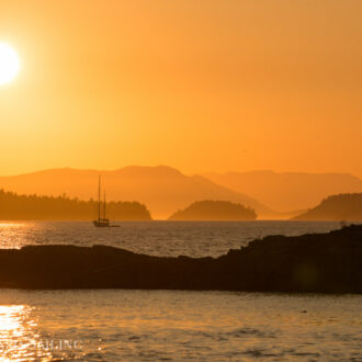 Half day sunset sail north