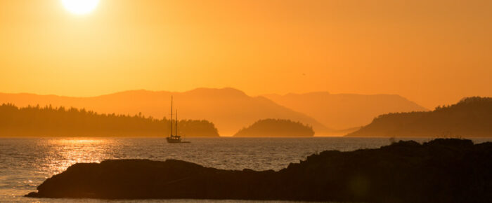 Half day sunset sail north