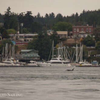 Orcas T18’s by Shirt Tail Reef and T60D and T60E visit Friday Harbor