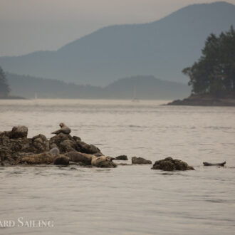 Circumnavigating Shaw Island