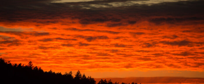 Beautiful sunset sail north