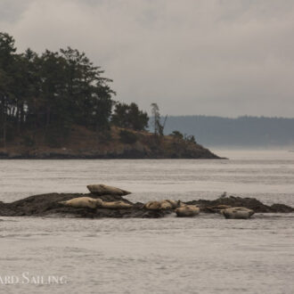 Short sail around Jones Island