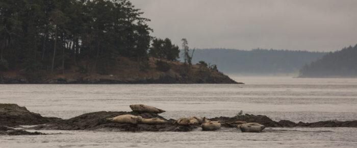 Short sail around Jones Island