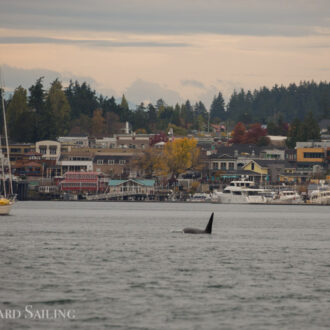 Orcas T60’s with T2B pass Friday Harbor