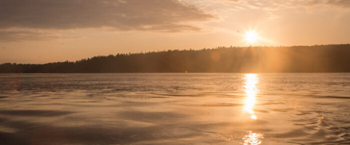 Evening short sunset sail