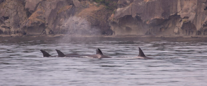 Orcas T65A’s and T77’s headed to East Point