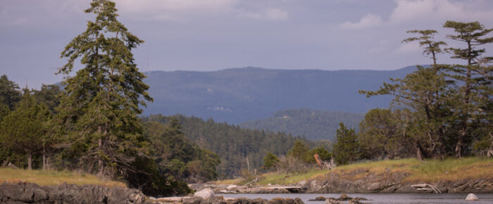 Short sail in the Salish Sea