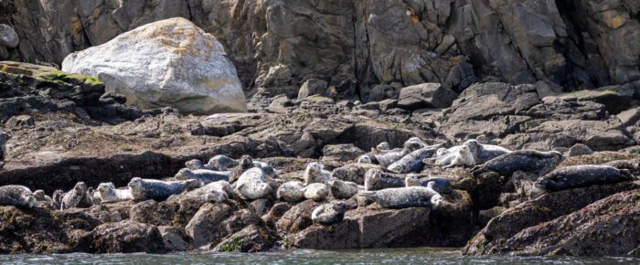 North to Flattop Island and Green Point