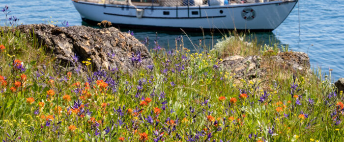 A visit to Yellow Island Nature Preserve