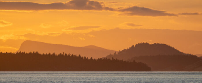 Evening short sunset sail