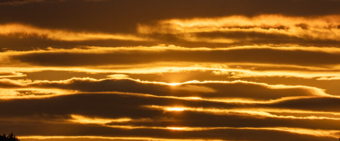 Sunset sail to the Wasp Islands