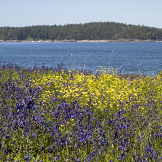 Visit to Yellow Island Nature Preserve