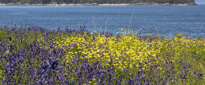 Visit to Yellow Island Nature Preserve