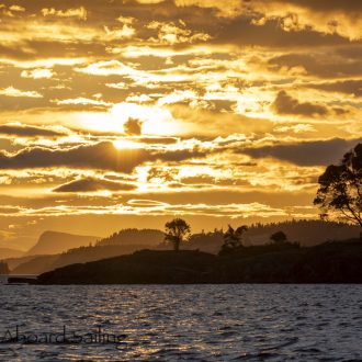 Stunning Sunset Sail