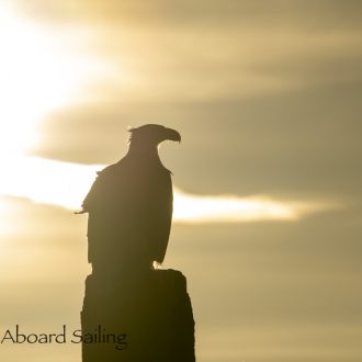 Sunset Sail to Fisherman’s Harbor