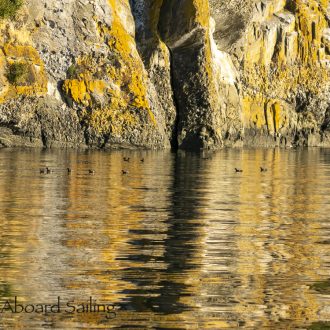 Sunset sail to Flattop Island