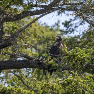 Short sail around the Wasp Islands and Jones Island