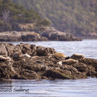 Morning short sail around Jones Island