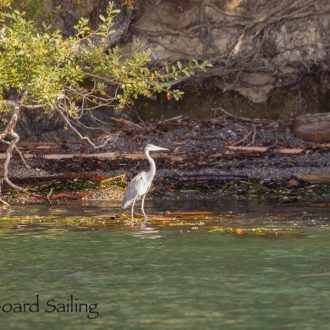 October short sail to the Wasp Islands