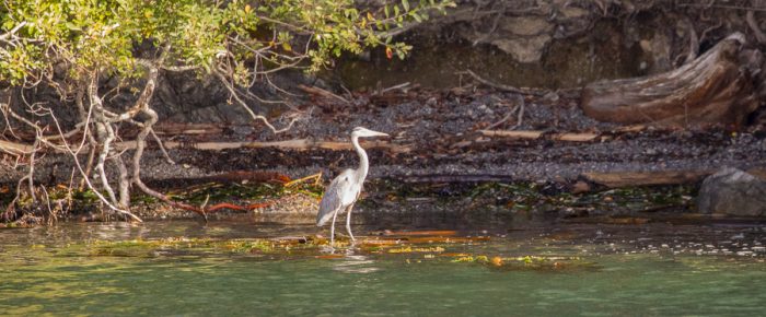 October short sail to the Wasp Islands